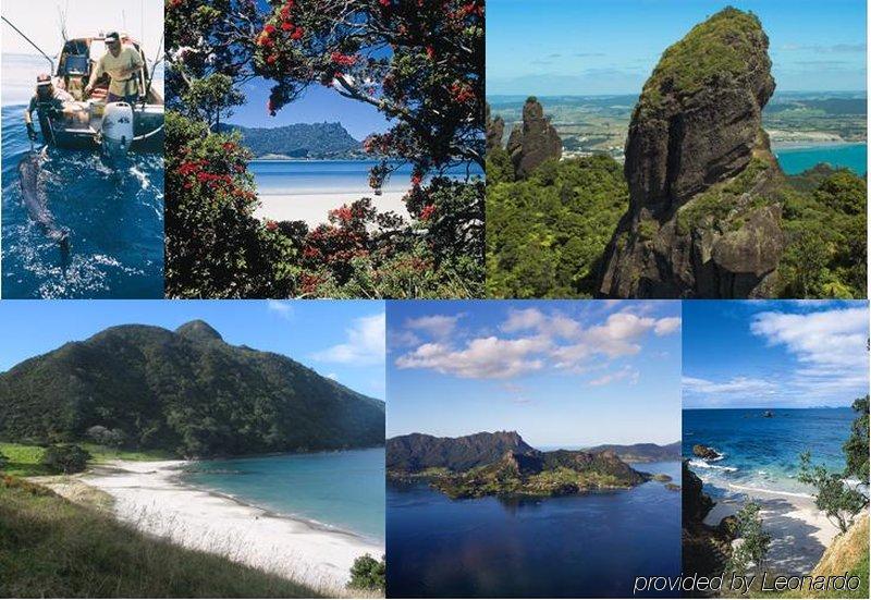 Cherry Court Motor Lodge Whangarei Kültér fotó